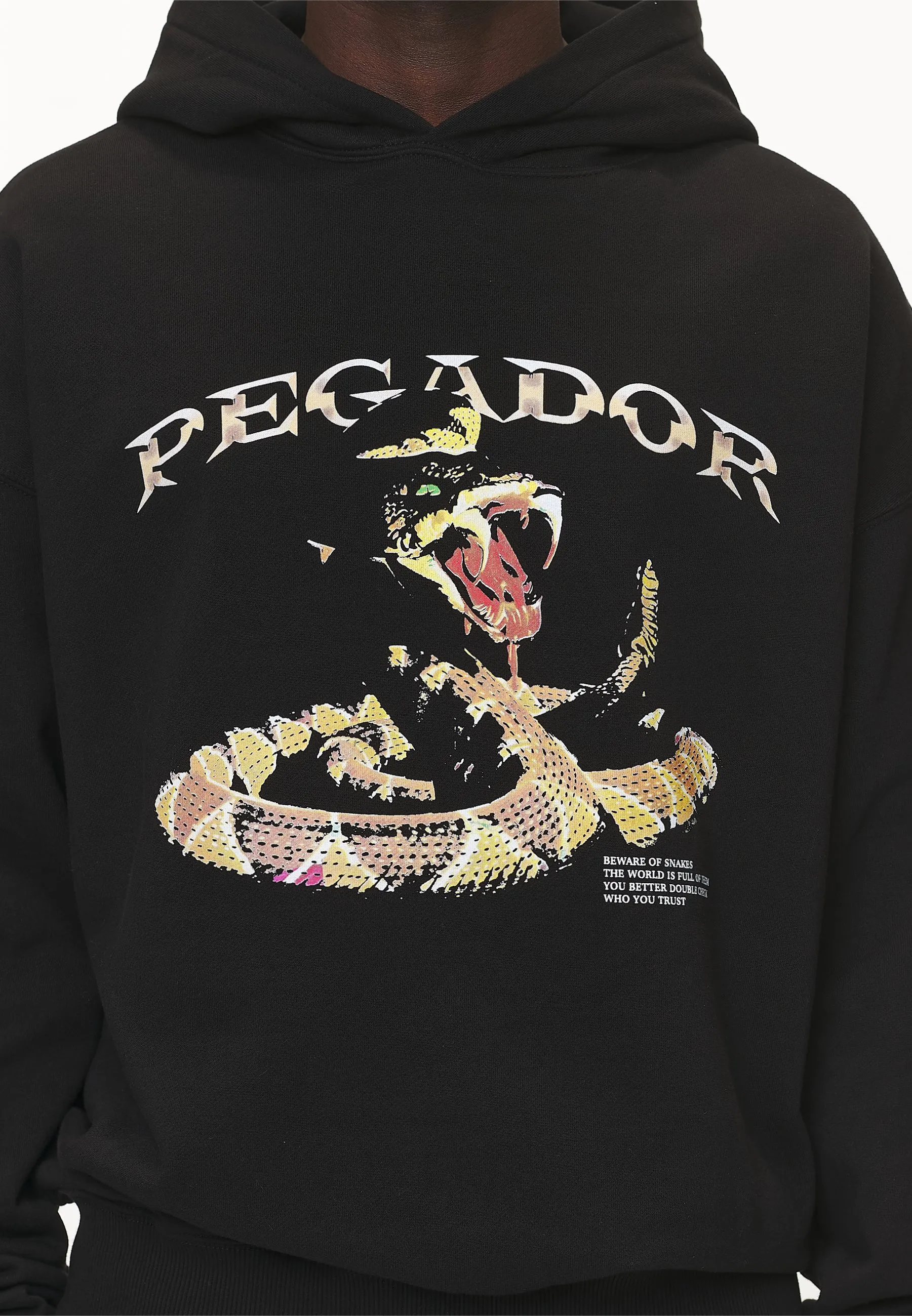 CARSON HOODIE - Felpa con cappuccio