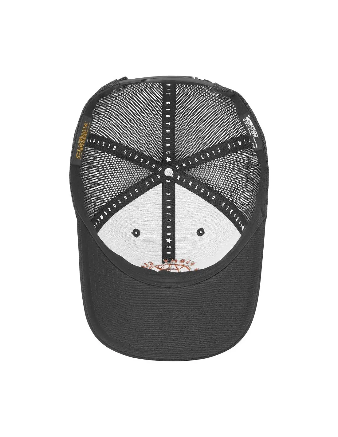 Foto Cappellino trucker Ankerton bio nero