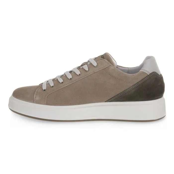 IGI & CO  STEN BEIGE